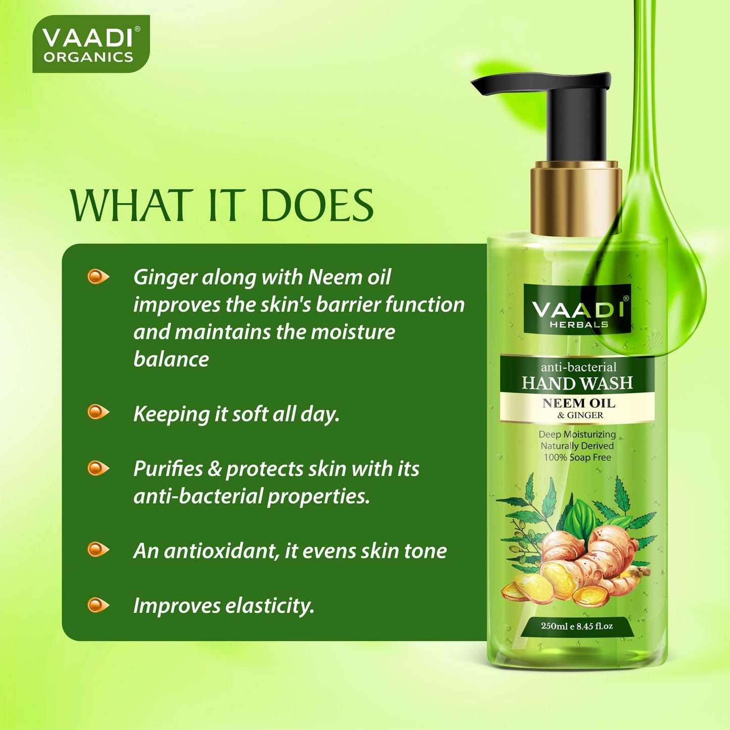Anti-Bacterial Neem Oil & Ginger Hand Wash (250 ml / 8.5 oz)