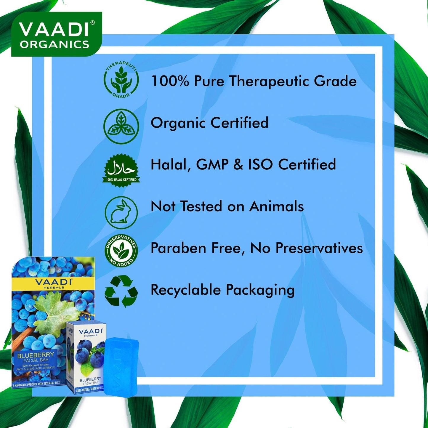 Organic Blueberry Facial Bar with Mint Extract & Olive Oil - Prevents Wrinkles (25 gms/0.9 oz)