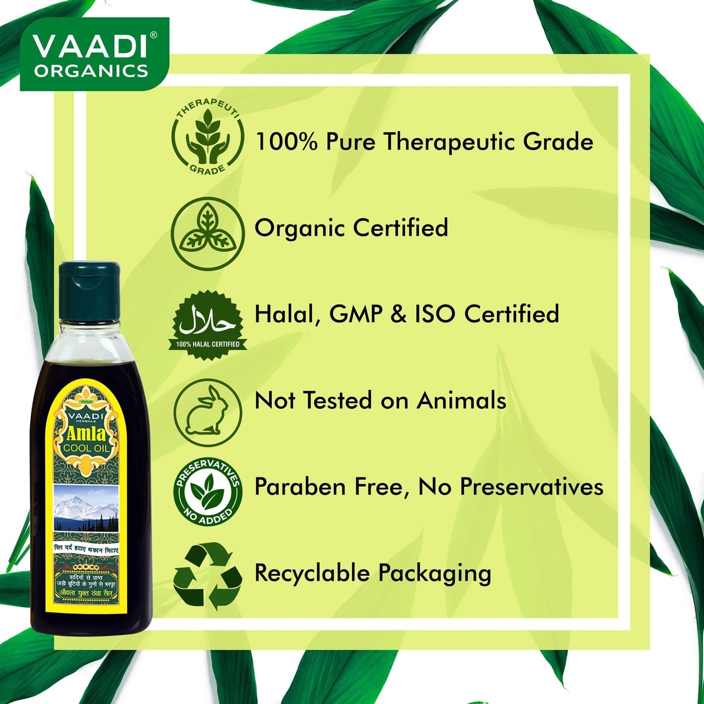 Amla Cool Oil with Brahmi - Strengthens and Nourishes Hair - Relieves Stress - Promotes Sound Sleep (200ml/7 fl oz)