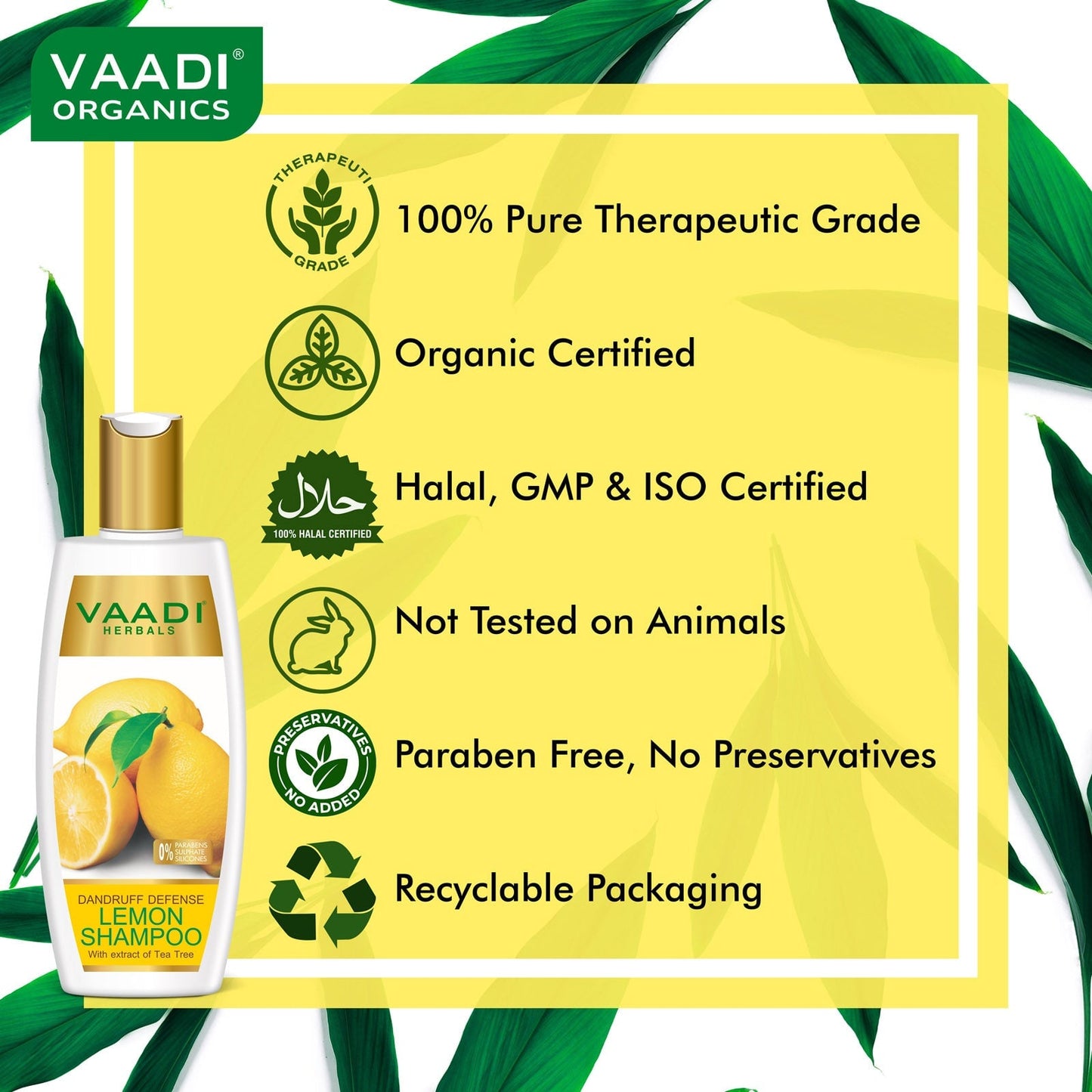 Dandruff Defense Organic Lemon Shampoo with Tea Tree Extract (350 ml/ 12 fl oz)