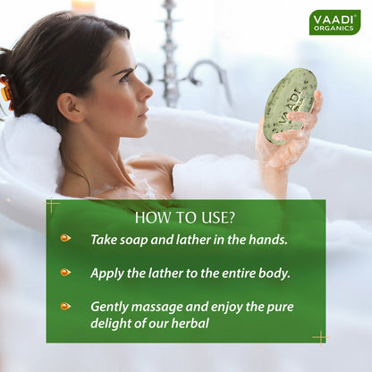 Organic Neem Soap with Pure Neem Leaves (Anti Bacterial) - Detoxifies Skin (6 x 75 gms / 2.7 oz)